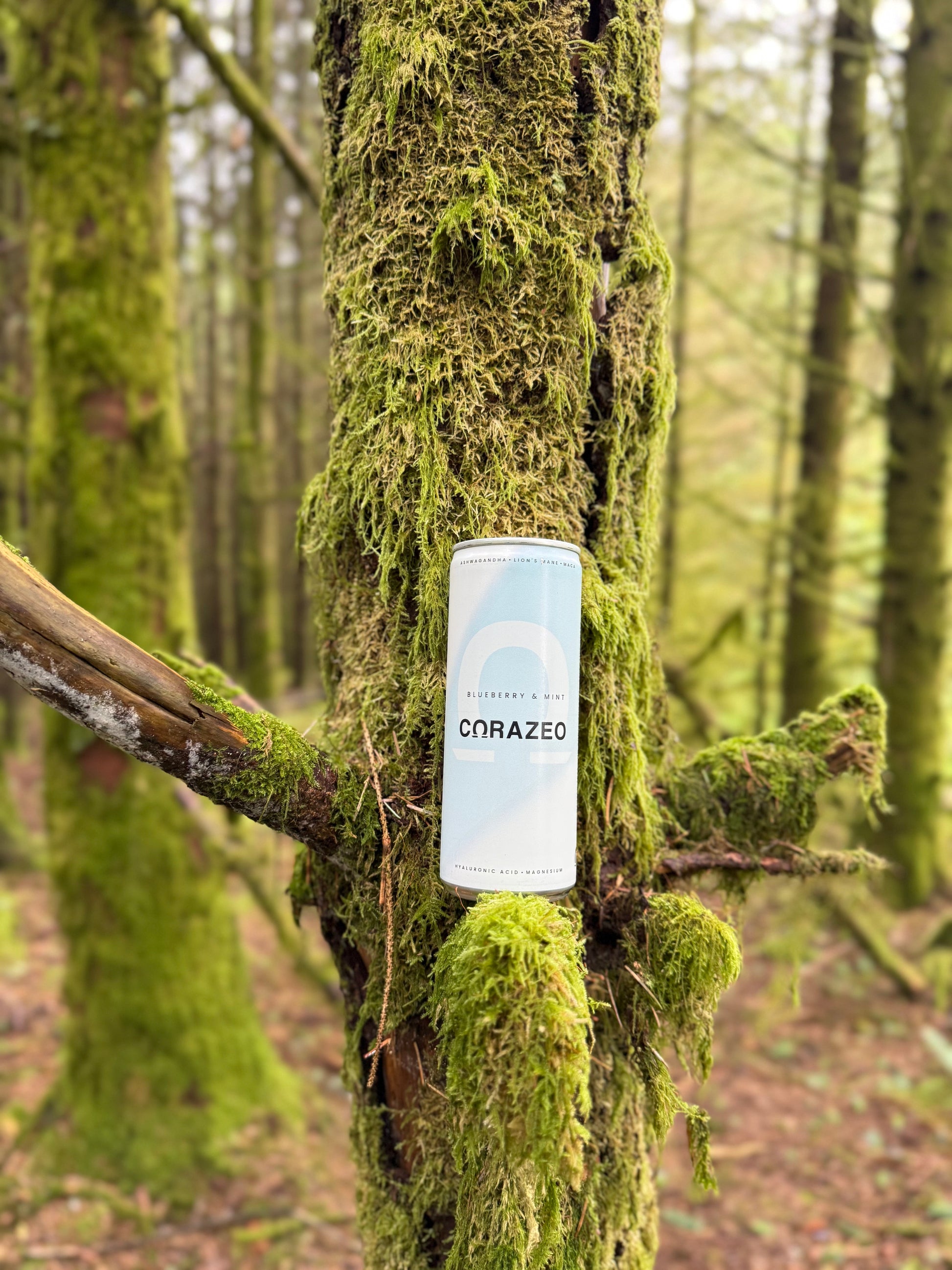 Blueberry & Mint CORAZEO Pack