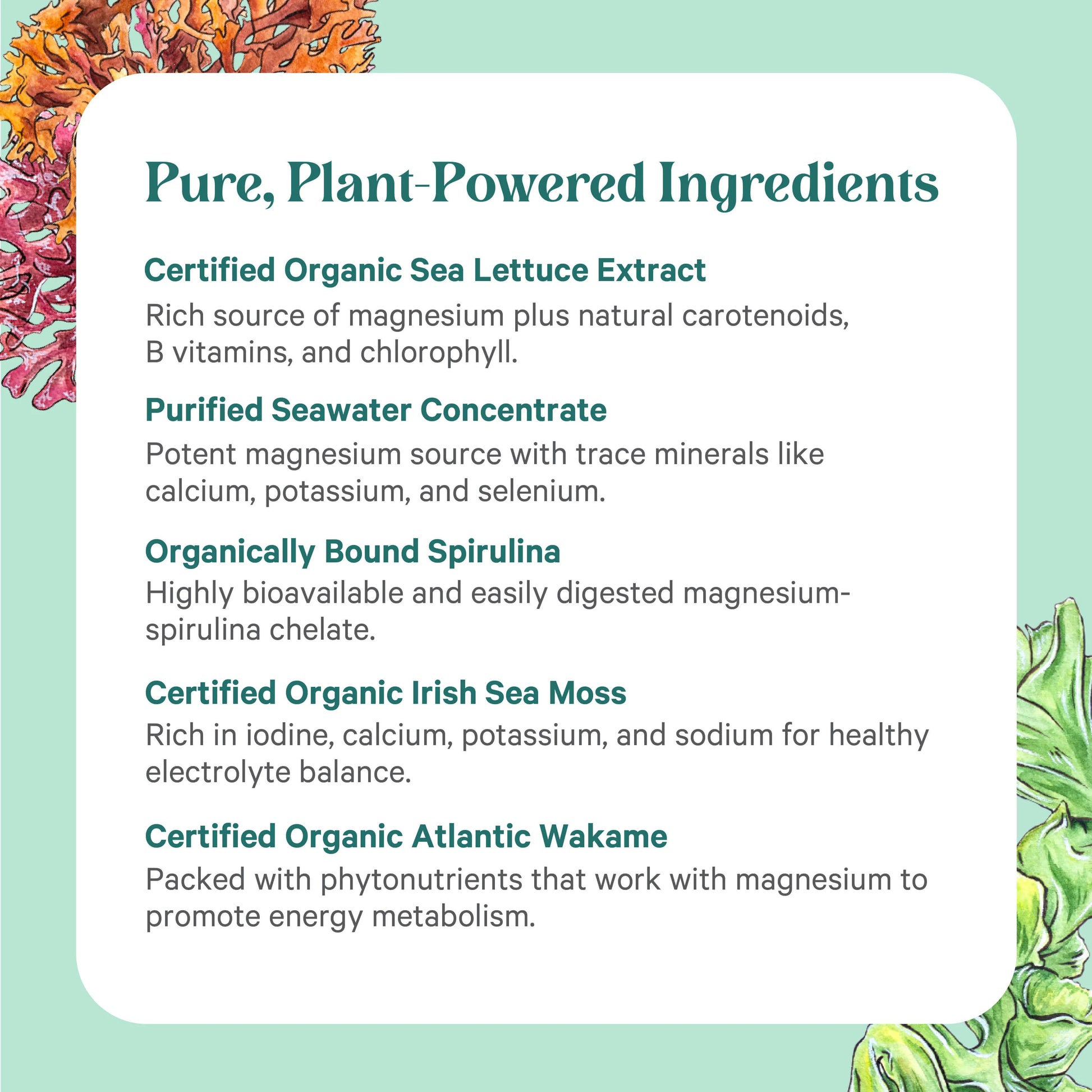 Pure Synergy Vital Ocean Magnesium™
